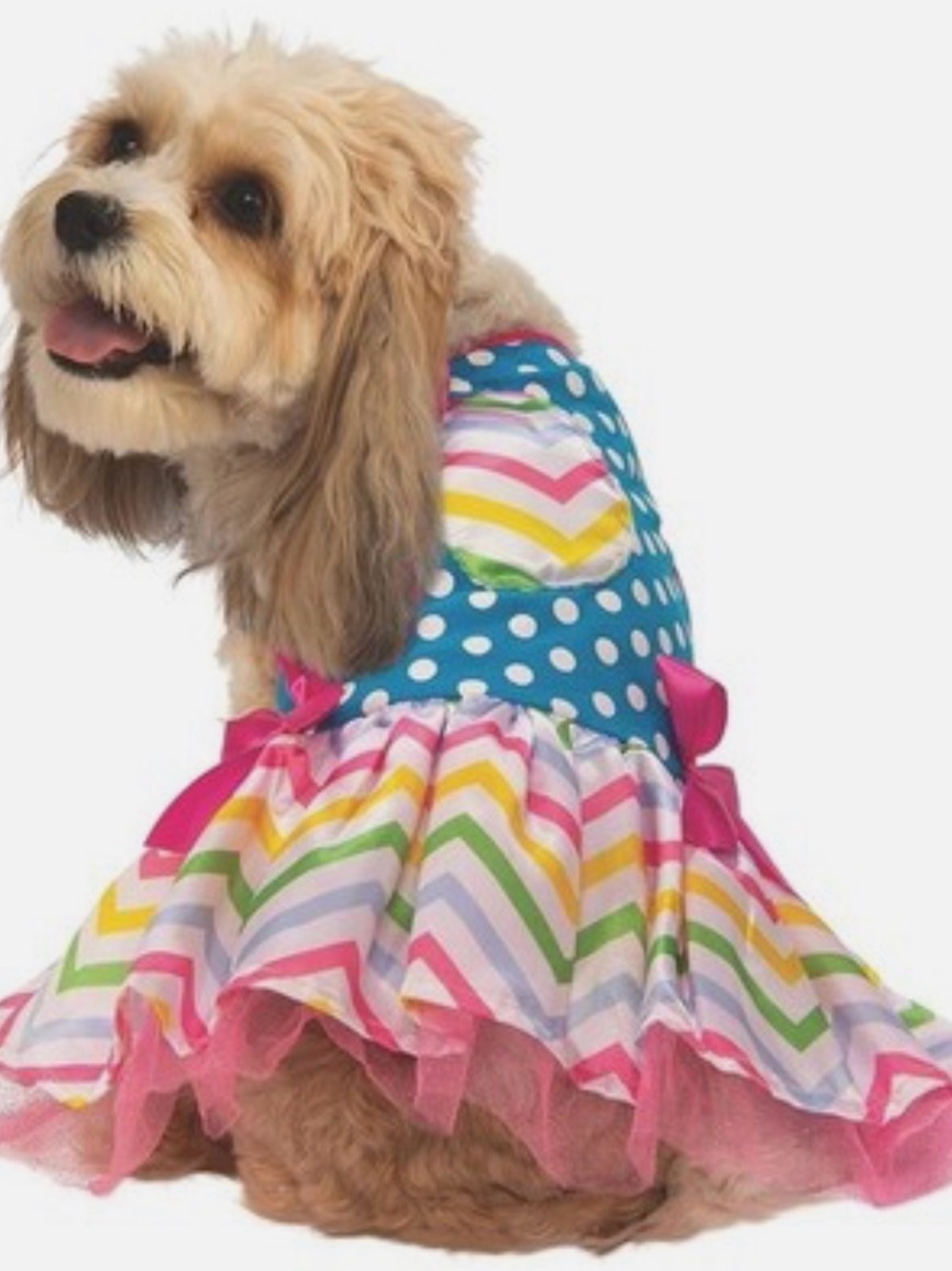 Easter Dress Pet Holiday Costume